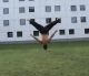 Hadyn Wiseman MA tricking 2010