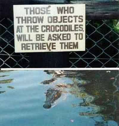 A collection of funny pictures.-9