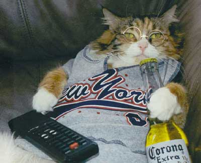 A collection of funny pictures.-11