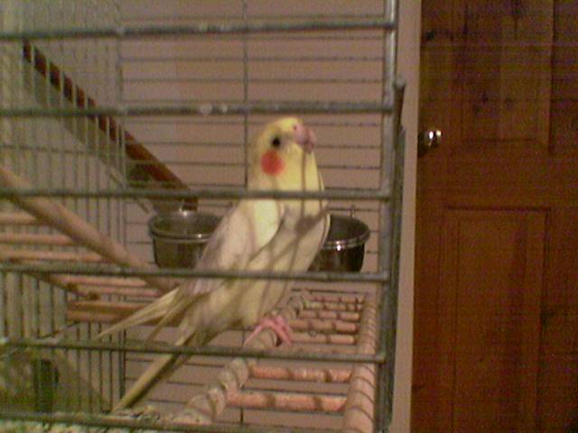 Random Pictures 3-4