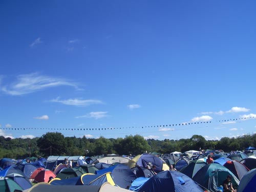 Steino at Reading-43