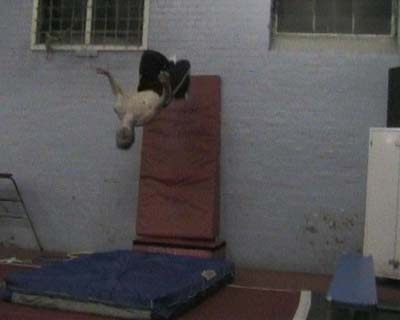 Tricking Pictures 01-18